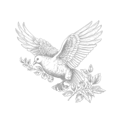 Animated Image